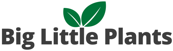 Big Little Plants